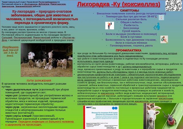 Лихорадка - КУ